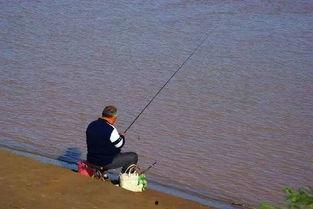 娱乐吃瓜钓鱼视频大全最新,娱乐吃瓜钓鱼视频大盘点，笑料百出，精彩纷呈！